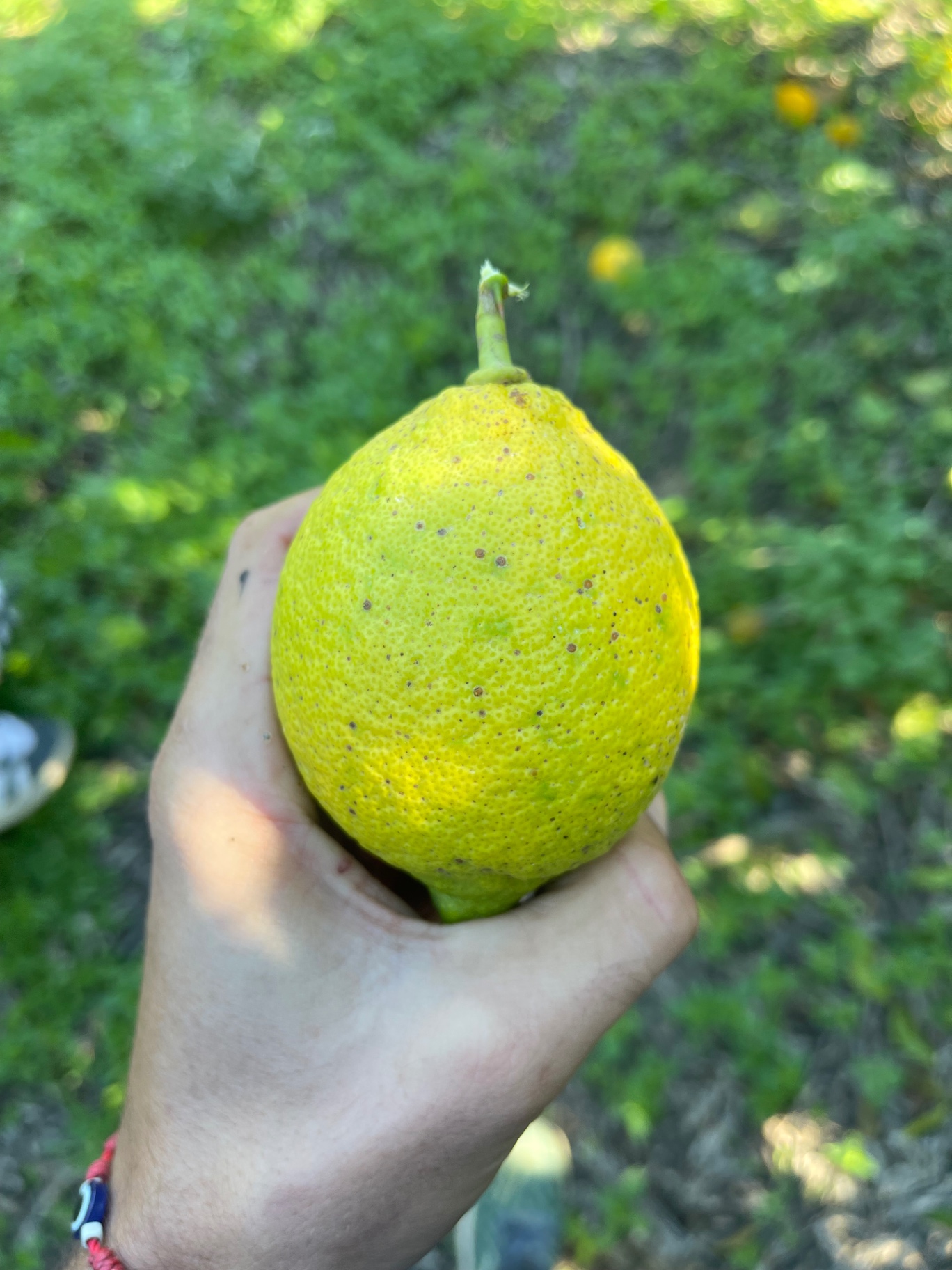 Image without description
