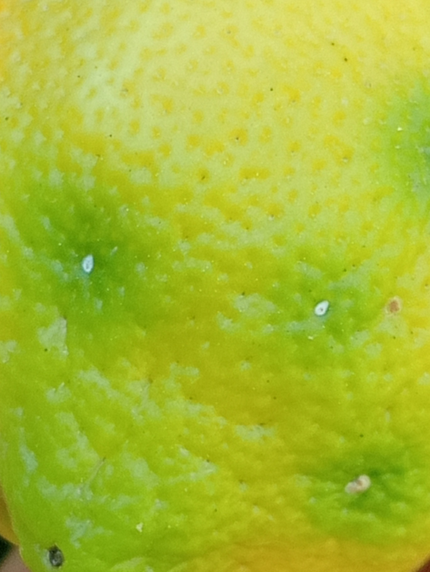 Image without description