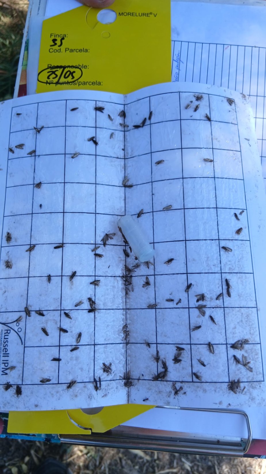 Image without description