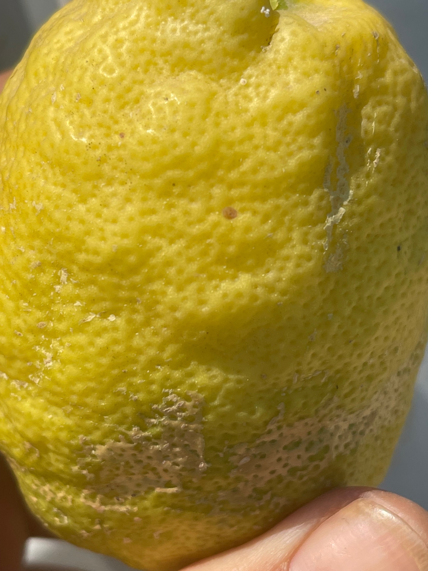 Image without description