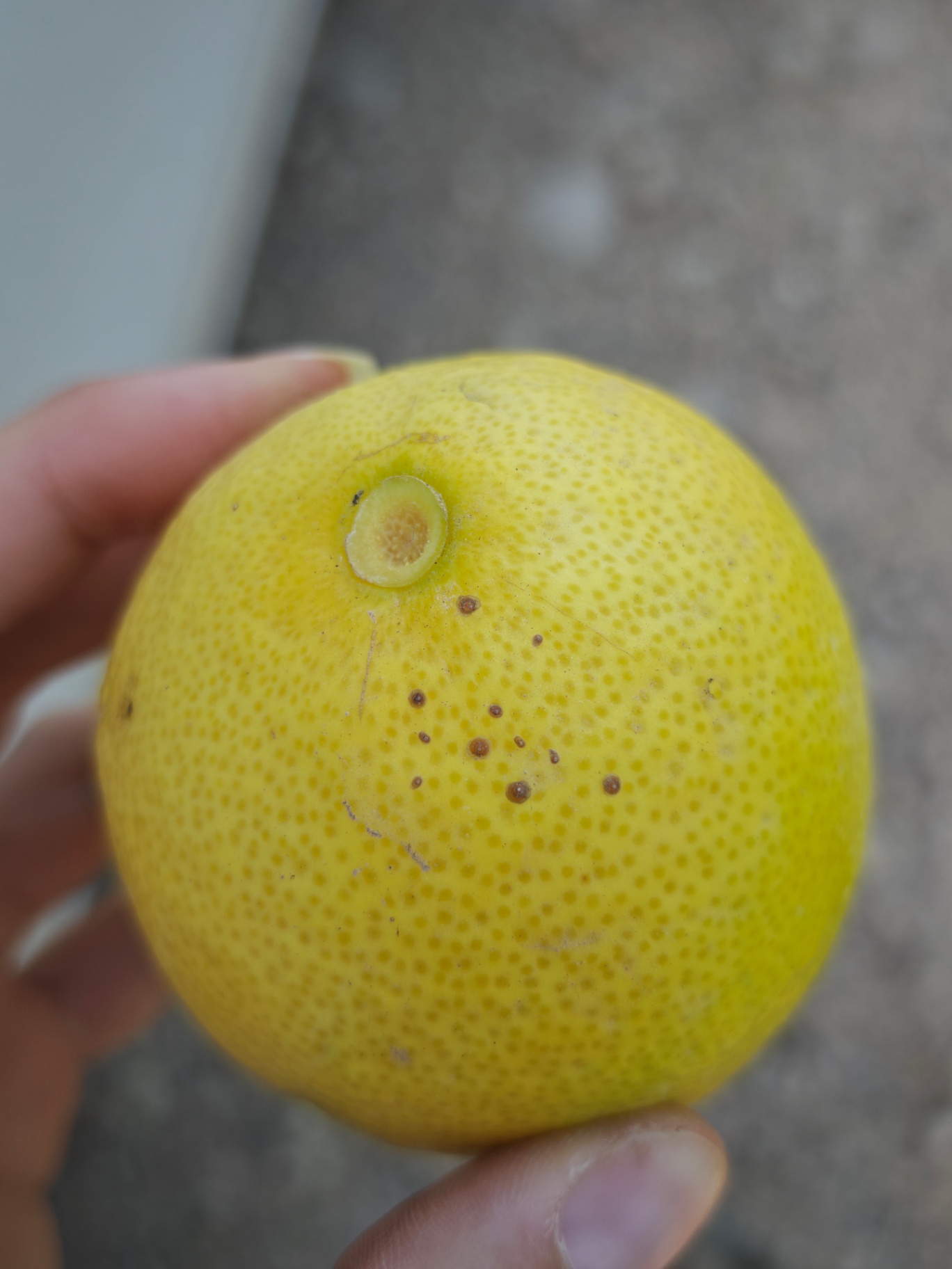 Image without description